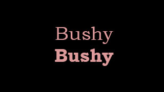 Bushy Bushy