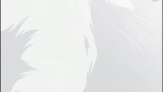 Porn video from Grab