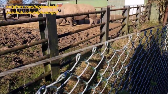 Brunette film with hot alphaninja7 from Grab