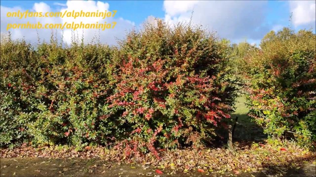 Blowjob movie with hot alphaninja7 from Grab