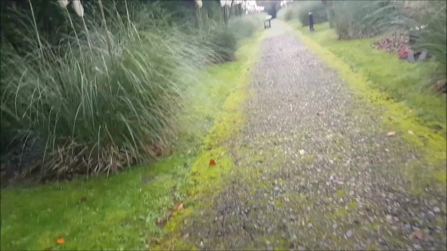 Milf screw with tempting alphaninja7 from Grab