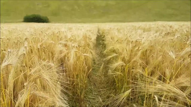 Milf sex with passionate alphaninja7 from Grab