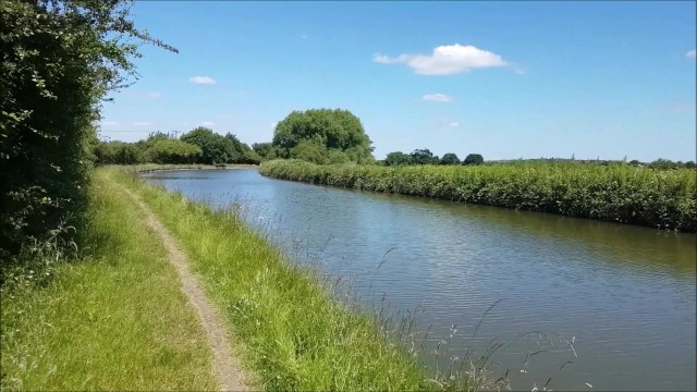 Risky Blowjob video with horny alphaninja7 from Grab