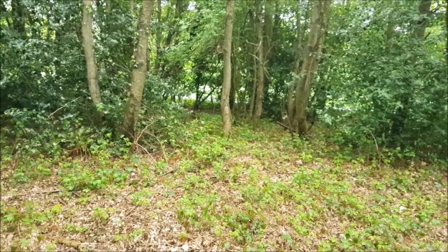 Cum Gargle Swallow bang with horny alphaninja7 from Grab