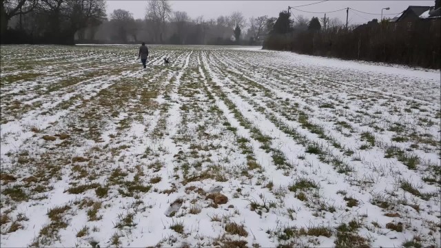 Doggystyle porn with sexy alphaninja7 from Grab