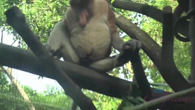 Day In The Life porn with tempting Jamie Marleigh