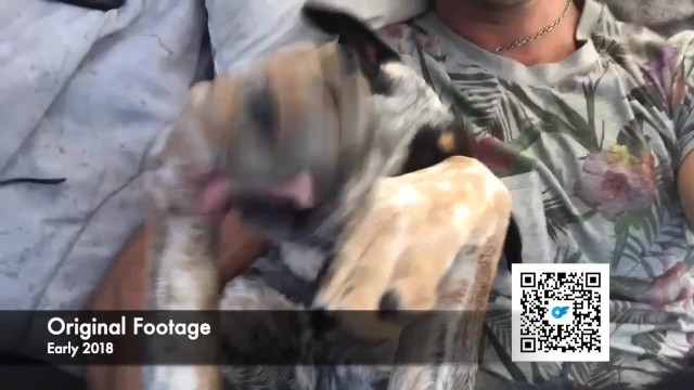 Las Vegas action with hot SparksGoWild from Grab