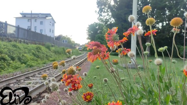 Sborrata action with prefect ElivaLove from Grab