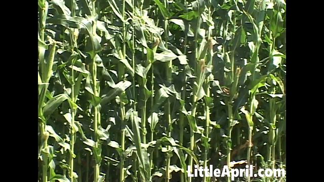 Hardcore video with tempting Petite Blonde and Little April from Grab