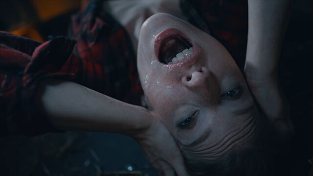 Lesbian screw with pretty Octavia Red