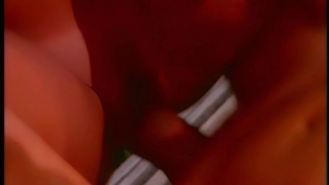 Big Cock sex with horny Ellen Padilha