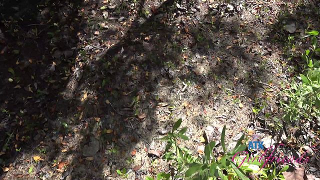 Hd smut with seductive Riley Rose from Grab